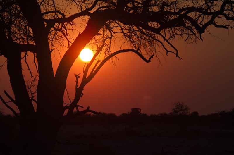 66 - Namibia - parque nacional de Etosha - atardecer